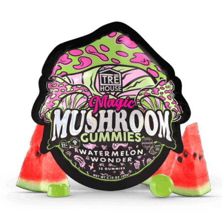 Gummies - Magic Mushroom - Watermelon Wonder (10 Pack)