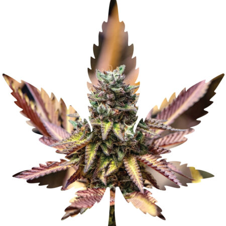 Indica Leaf Shape Puzzle: Nick Johnson “Gelato Cake" 10" x 11" 69 Piece 1/4 Inch thick Maple Wood Jigsaw Puzzle