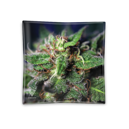 Blue Dream Blazin' Ashtray Glass
