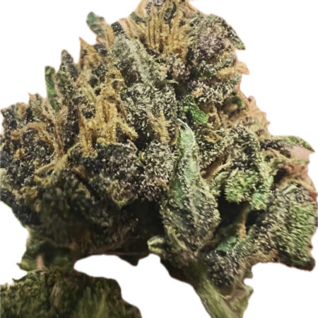 Ripkitty Premium Pink Panther CBD Flower