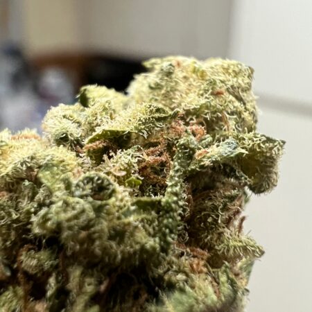 Ripkitty Suver Haze CBD Hemp Flowers