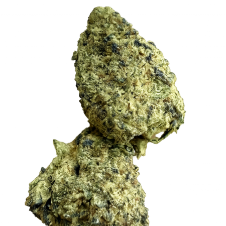 Ripkitty Orange Bitters Flower