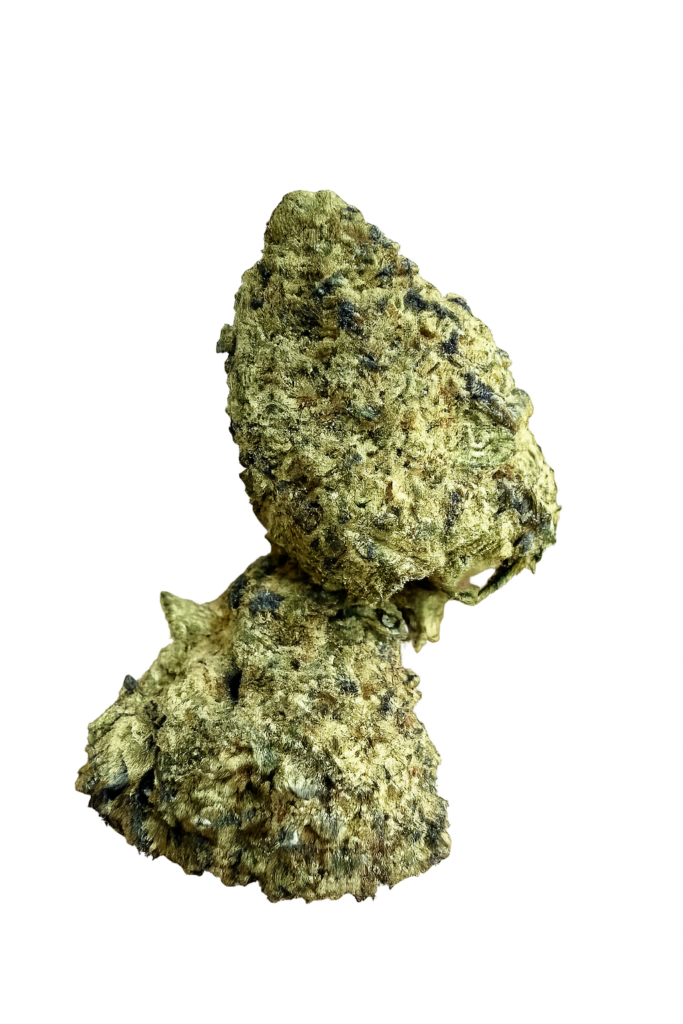 Ripkitty Orange Bitters Flower