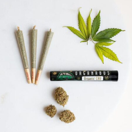 Pre-rolled CBD Hemp Kush Jumbo Joint 1.5 Grams