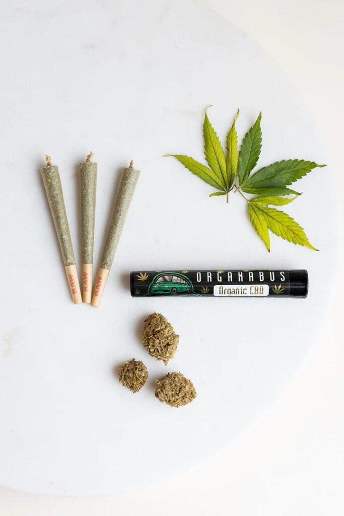 Pre-rolled CBD Hemp Kush Jumbo Joint 1.5 Grams
