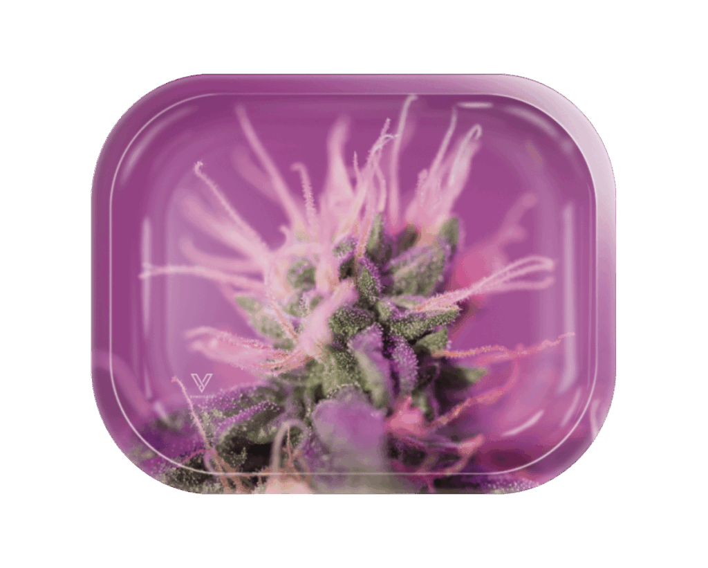 Pink Lemonade Metal Rollin’ Tray
