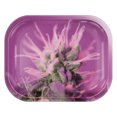 Pink Lemonade Metal Rollin' Tray