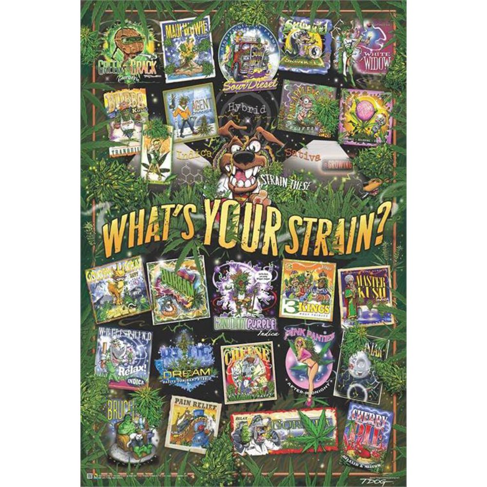 T-Dog Weed Strains Poster – 24″x33″