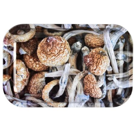 Pulsar Shroom Collage Metal Rolling Tray