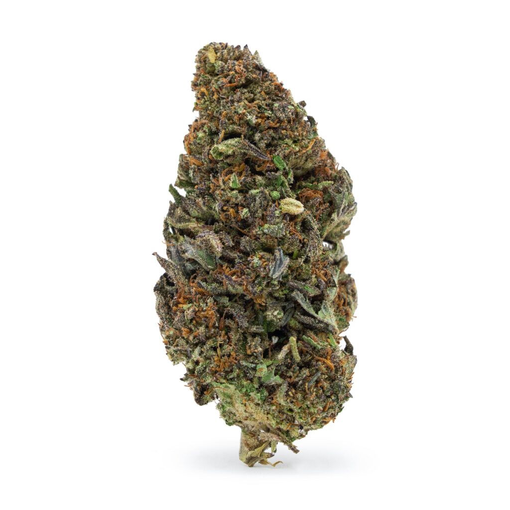 Cosmic Cookie (CBD)