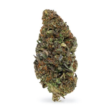 Cosmic Cookie (CBD)