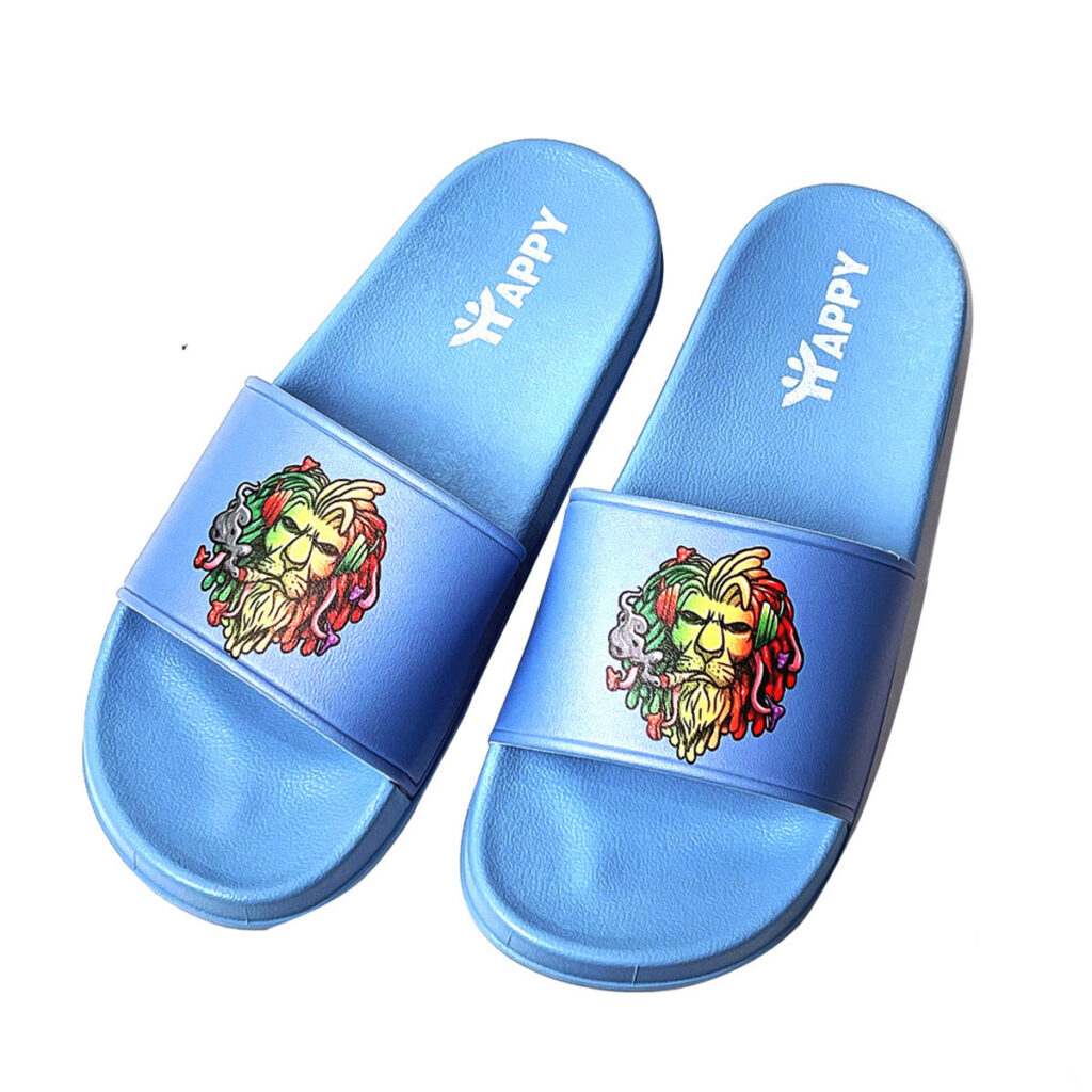 Comfort Lion Slide Sandals – Multi-Size Pack