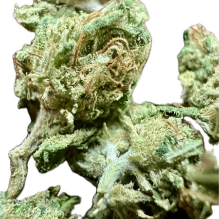 Ripkitty Premium Sour Brûlée CBD Hemp Flower