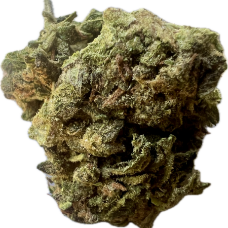 Ripkitty Mendo Breath Flower
