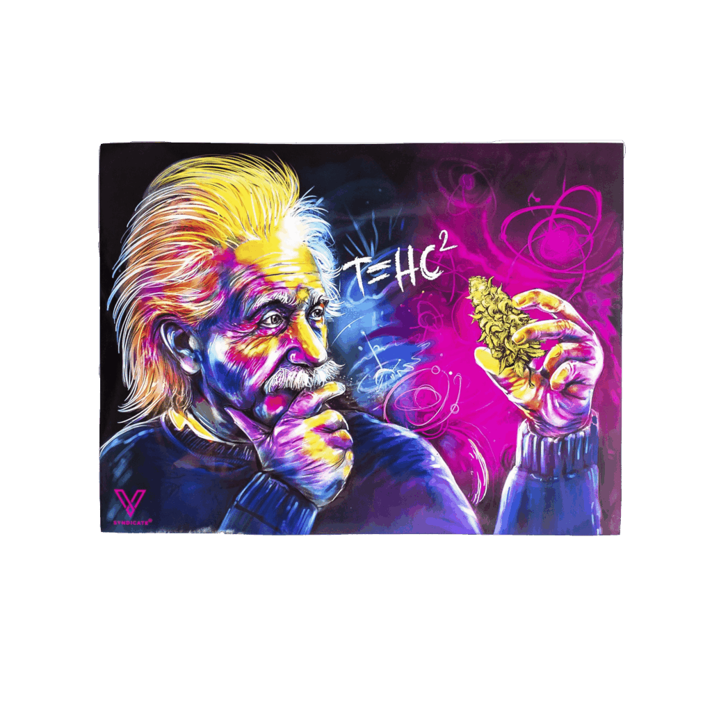 T=HC2 Einstein Wall Poster 18″ x 24″