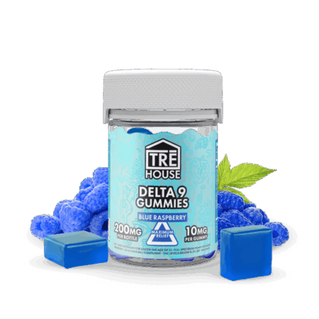 Gummies - Delta 9 - Blue Raspberry - (6 Pack)
