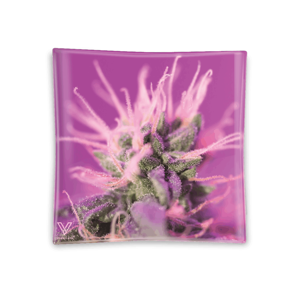 Pink Lemonade Blazin’ Ashtray Glass