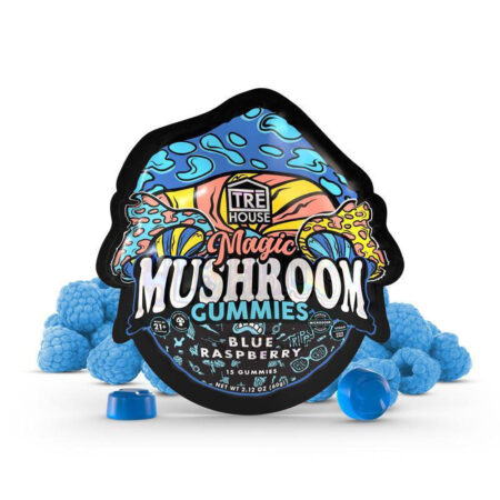 Gummies - Magic Mushroom - Blue Raspberry (10 x 10 Pack) - 100pc MC