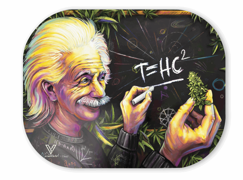 T=HC2 Higher Education Mag Slap