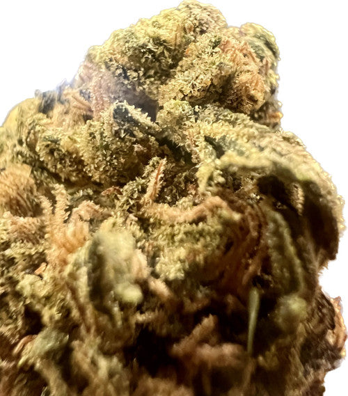 Ripkitty Fruity Tooties Flowers