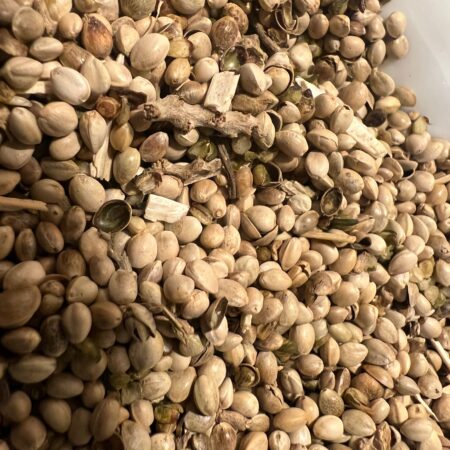 Ripkitty Premium Raw Organic Hemp Seeds Poultry Birds