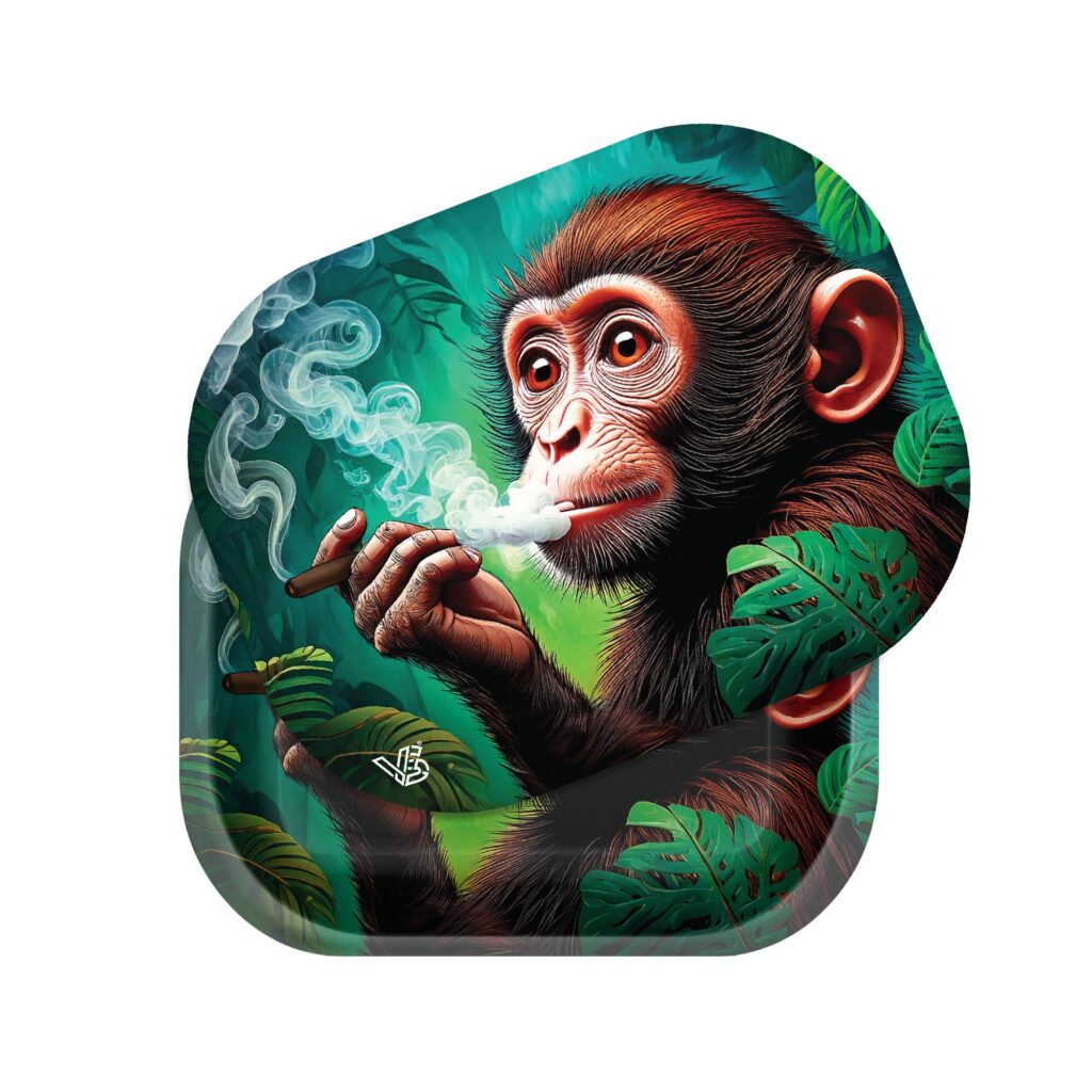 Monkey Business 3D Roll N Go
