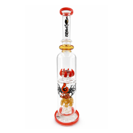 BIIGO BY LOOKAH DUO CREEPGAZE & TENTAFUN PERC RIG
