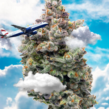 Surface_area999 “Mile High Club" 6.1" x 8.1" 85 Piece 1/4 Inch thick Maple Wood Jigsaw Puzzle