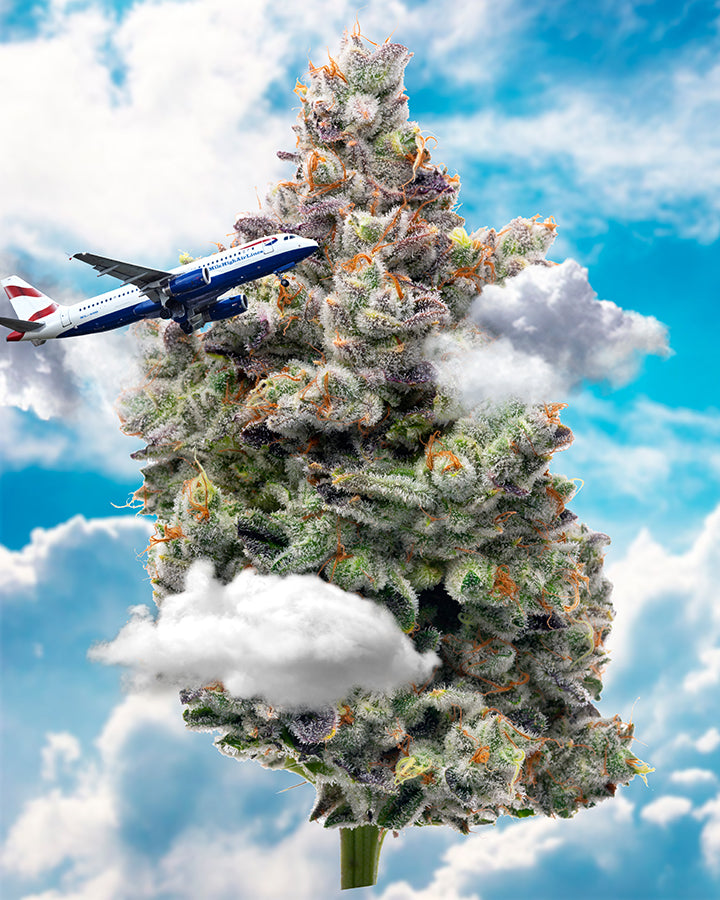 Surface_area999 “Mile High Club” 6.1″ x 8.1″ 85 Piece 1/4 Inch thick Maple Wood Jigsaw Puzzle