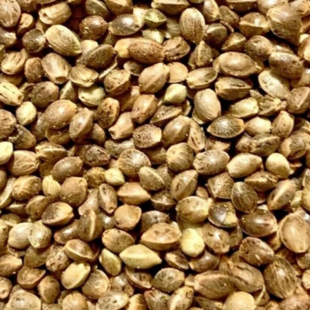 (250 Grams) Ripkitty Premium Whole Hemp Seeds Nuts Organic