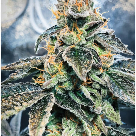Indica Puzzles: Sport Farmer “Gary GNU” 8.1" x 10.81" 130 Piece 1/4 Inch thick Maple Wood Jigsaw Puzzle