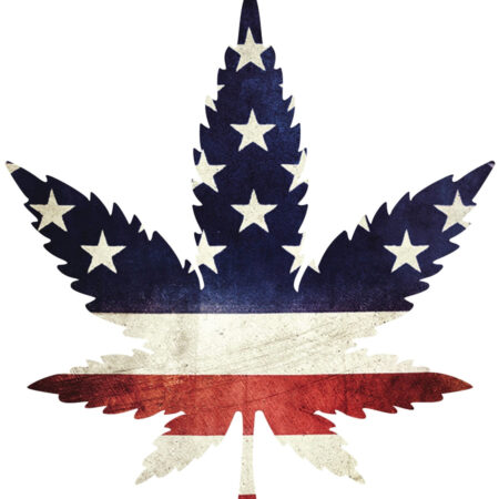 Indica Leaf Shape Puzzle:  "Stars and Stripe" 10" x 11" 69 Piece 1/4 Inch thick Maple Wood Jigsaw Puzzle