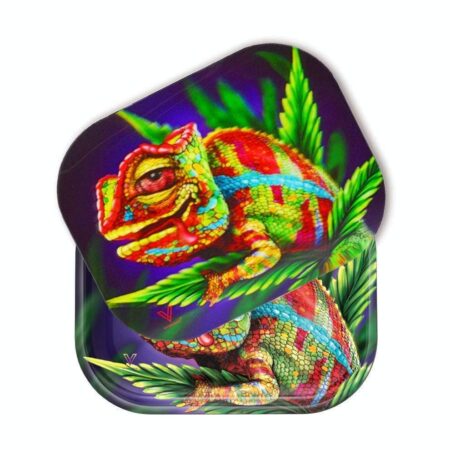 Cloud 9 Chameleon 3D Roll N Go Bundle