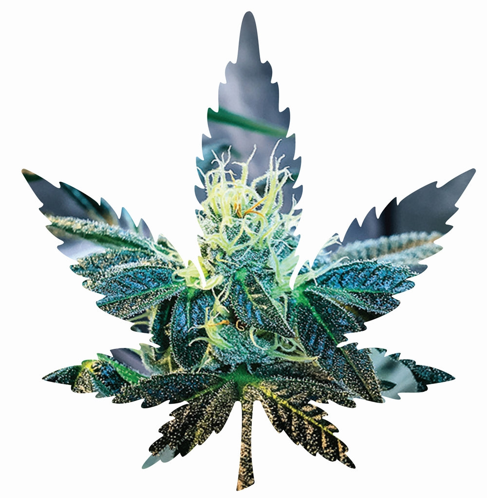 Indica Leaf Shape Puzzle: Sport Farmer “Gary GNU II” 10″ x 11″ 69 Piece 1/4 Inch thick Maple Wood Jigsaw Puzzle