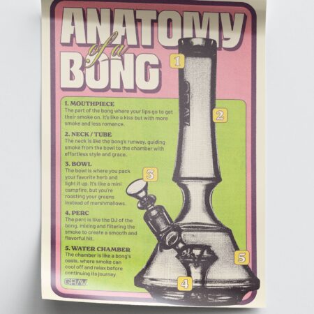 GRAV® Anatomy of a Bong Poster, 16 x 24"