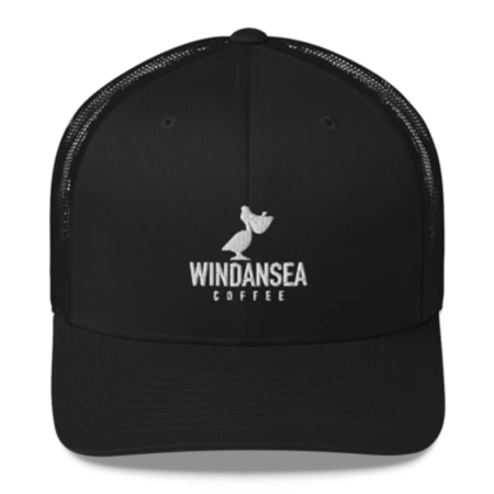 Embroidered Windansea Logo Trucker Cap