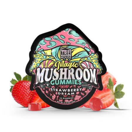 Gummies - Magic Mushroom - Strawberry Dream (10 x 10 Pack) - 100pc MC
