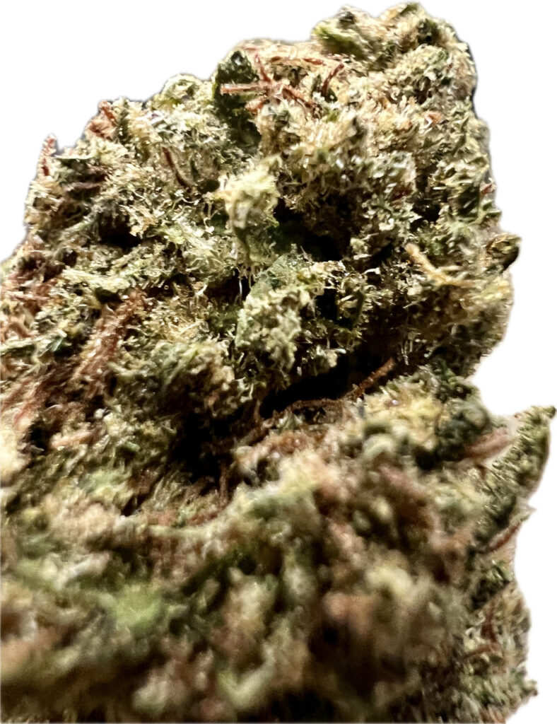 Ripkitty Premium Tiger’s Blood  – CBG Kiefed – Terped CBD Hemp Flower