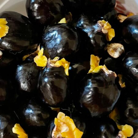 Ripkitty Signature Ornamental Ackee Seeds (Blighia sapida) | High-Viability Tropical Seeds
