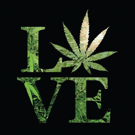 Love Weed Plush Fleece Blanket - Medium Weight