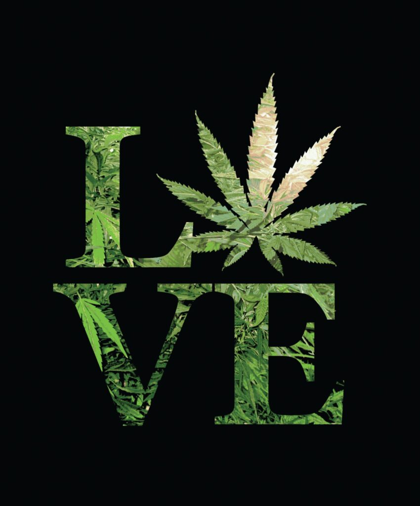 Love Weed Plush Fleece Blanket – Medium Weight