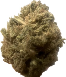 Ripkitty Girl Scout Cookies Terped CBD Flower with CBG Kief – Terped 3.5G