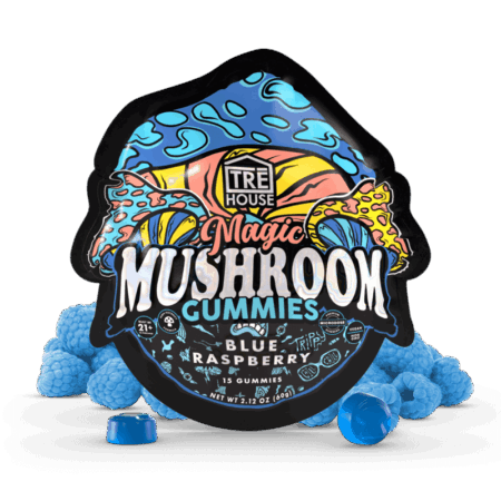 Gummies - Magic Mushroom - Blue Raspberry (10 Pack)