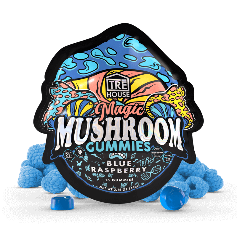 Gummies – Magic Mushroom – Blue Raspberry (10 Pack)