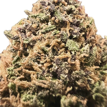 Ripkitty Pink Panther Flowers