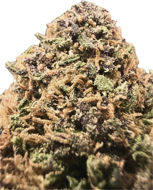 Ripkitty Pink Panther Flowers