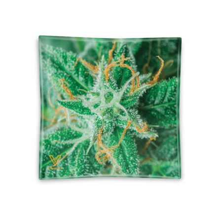 AK 47 Blazin' Ashtray Glass