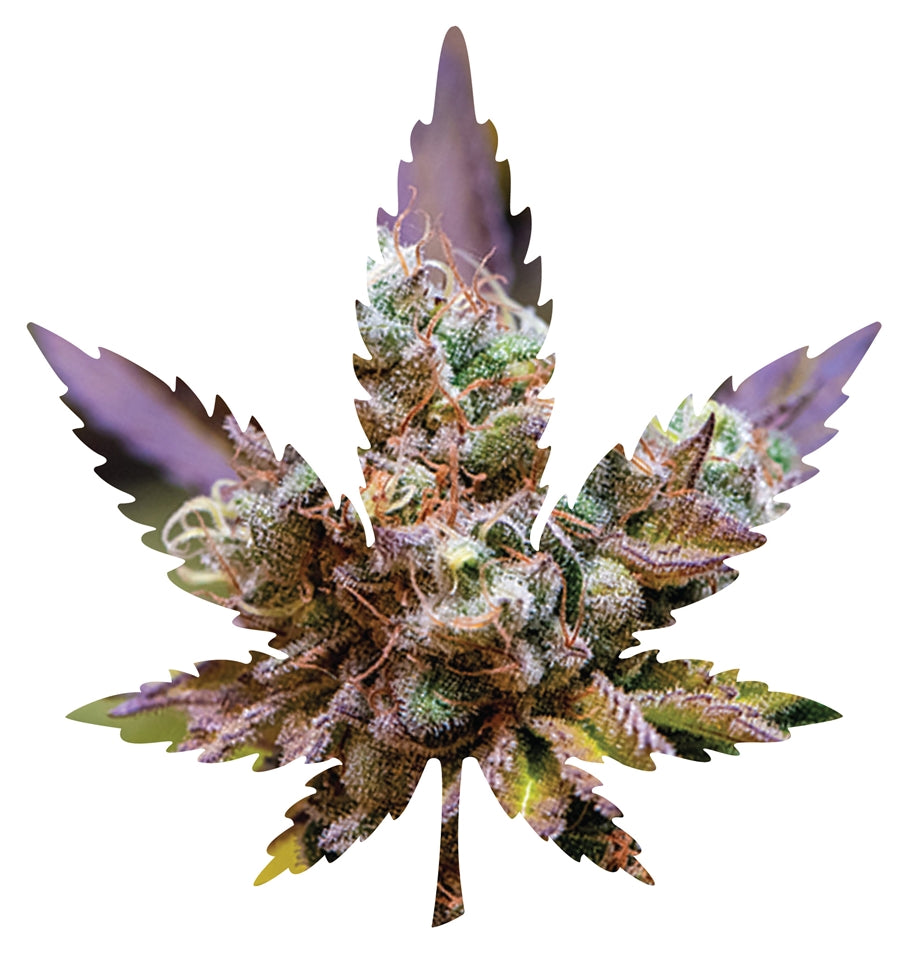 Indica Leaf Shape Puzzle: Nick Johnson “Gelato Cake II” 10″ x 11″ 69 Piece 1/4 Inch thick Maple Wood Jigsaw Puzzle