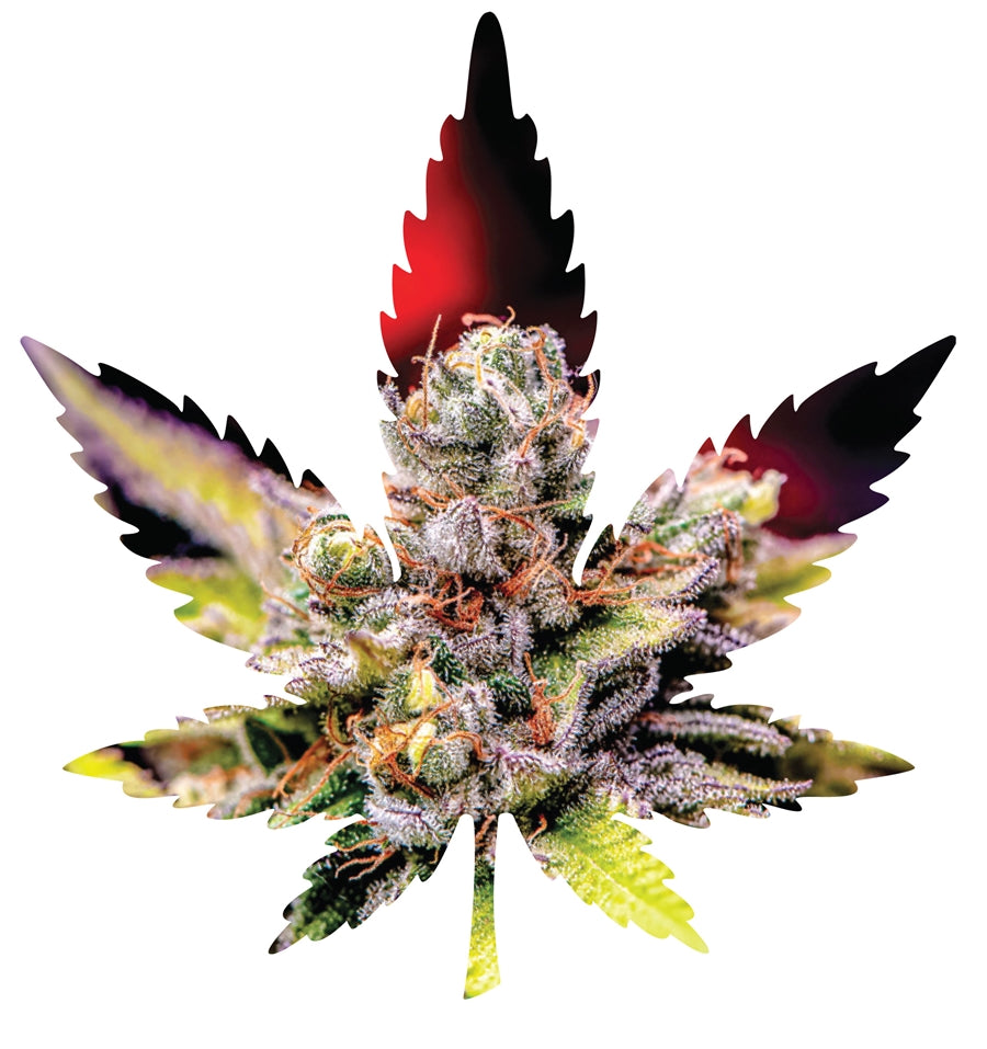Indica Leaf Shape Puzzle: Nick Johnson “Colins Mandarin Temple” 10″ x 11″ 69 Piece 1/4 Inch thick Maple Wood Jigsaw Puzzle