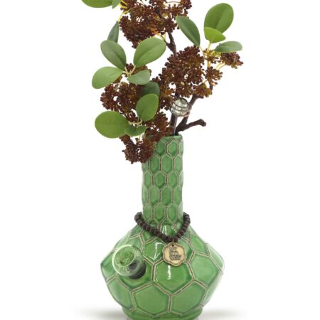Turtle Vase Bong